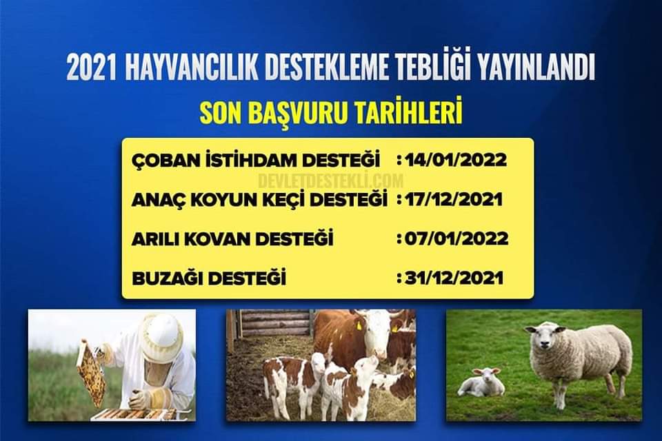 Hayvancılık Desteklemeleri Uygulama Tebliği yayımlandı