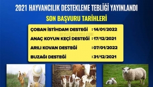 Hayvancılık Desteklemeleri Uygulama Tebliği yayımlandı