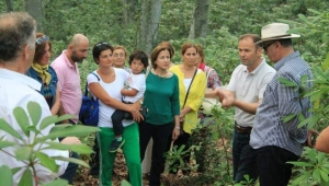 ŞEHİTLER ORMANI