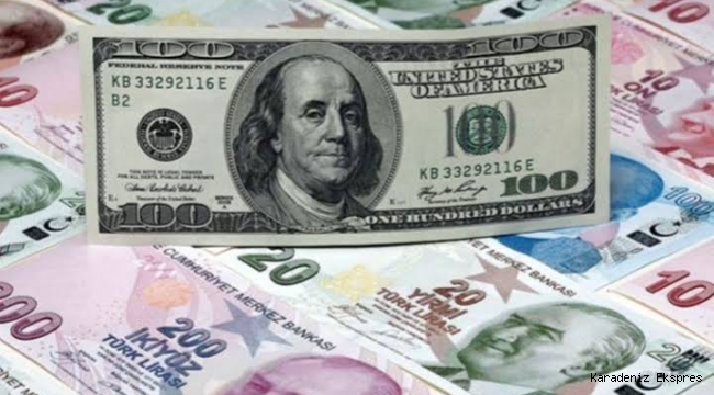 TL DEVRE DIŞI KALMAK ÜZERE