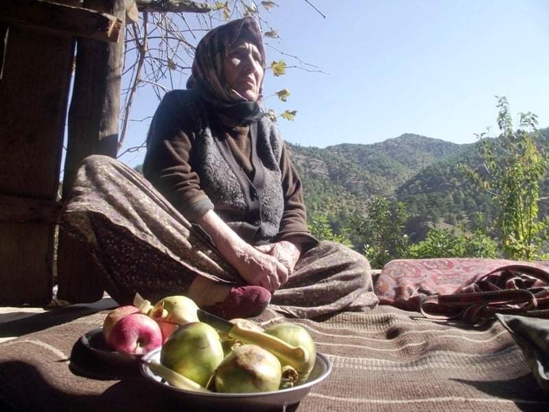 Bir ülke nasıl yok edilir, bir halk nasıl gönüllü köleler haline getirilir?