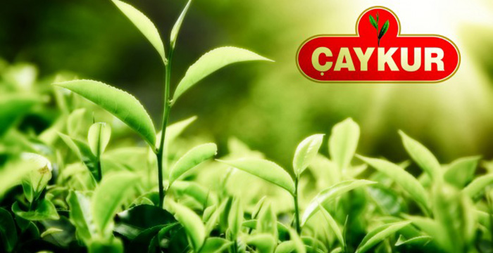 ÇAYKUR’dan yaş çay alım fiyatıyla ilgili açıklama