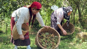 Çiftçi üretmez ise biz kaybederiz, Biz kaybedersek ülke kaybeder...