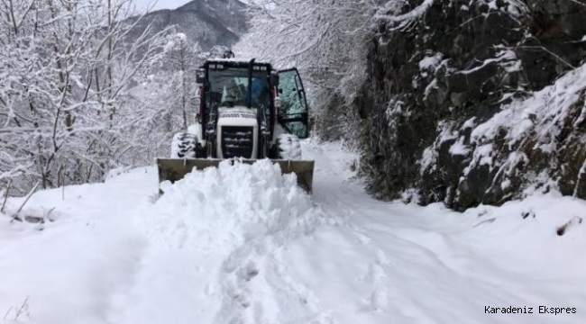 Doğu Karadeniz Bölgesi'nde kar yağışı nedeniyle 854 köy ve mahalleye ulaşım sağlanamıyor