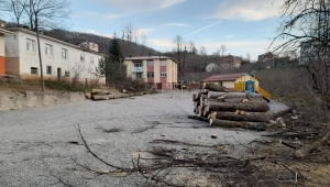 Gölköy Haruniye İlkokulu bahçesinde ağaç katliamı 