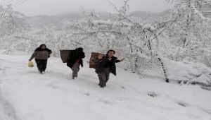 Kar Yağışı Fındık Üreticisinin Yüzünü Güldürdü