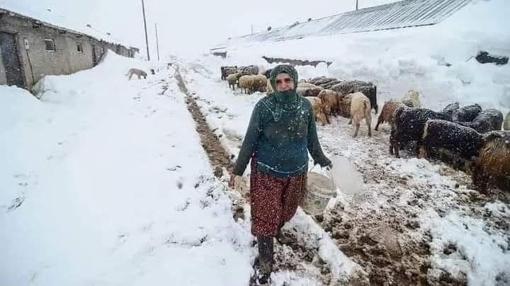 Sıcak evinden yada günlük tatilinden kar fotosu paylaşmak ne kadar keyifli değil mi?!! 
