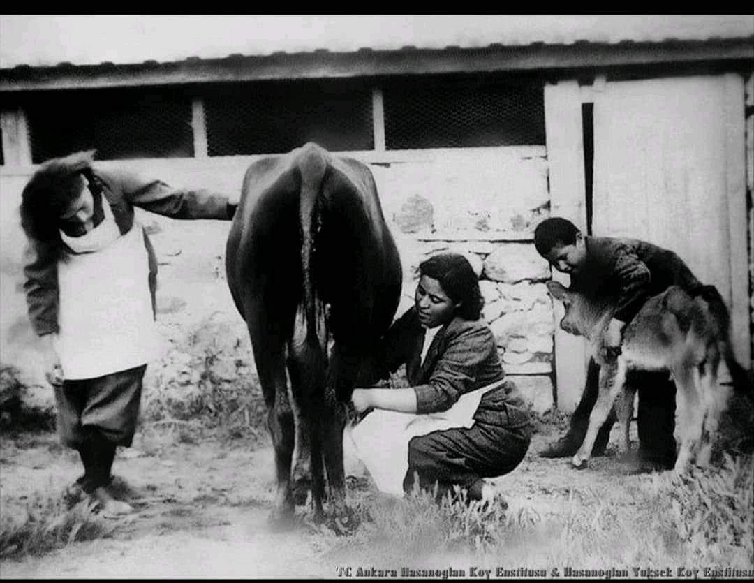 ÜRETEREK EĞİTMEK... EGİTEREK KALKINDIRMAK...