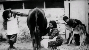 ÜRETEREK EĞİTMEK... EGİTEREK KALKINDIRMAK...