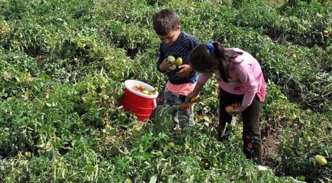 Bakanlık verileri: Çocuklar yoksulluk kıskacında ailelerinden koparılma riskiyle karşı karşıya