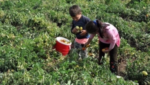 Bakanlık verileri: Çocuklar yoksulluk kıskacında ailelerinden koparılma riskiyle karşı karşıya