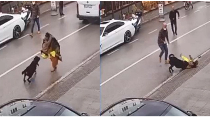 Köpeğin saldırısına uğrayan kadın kucağındaki çocuğu bırakıp kaçtı