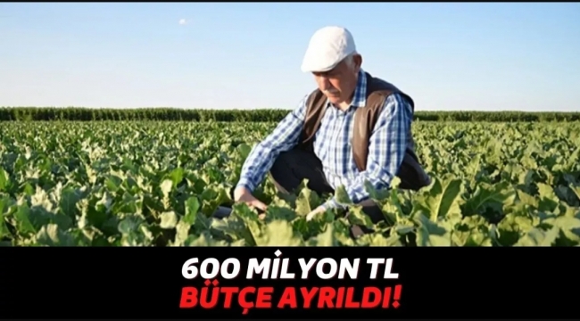 Tarım Bakanlığı Çiftçileri Enflasyona Ezdirmiyor, Bu Gruptaki Kişiler İçin Geri Ödemesiz 600 Milyon TL Ayırdılar!