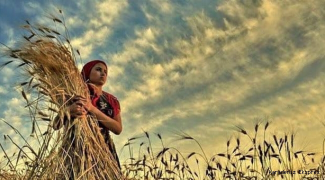 Tarımsal desteklere 3,2 milyar liralık ilave kaynakta öncelik stratejik ürünlerin