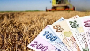 Üniversiteli çiftçiye 100 bin lira hibe desteği 