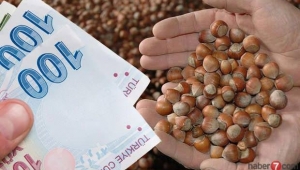 2021 Gübre mazot destegi ödeme takvimi açıklanmıstır.