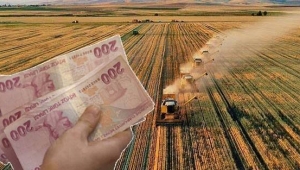 Bakan Kirişci duyurdu! Ödemeler başladı