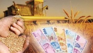 Çiftçi 2022 mazot gübre destek ödemesi ne zaman yatacak? Çiftçinin sabrı kalmadı ?