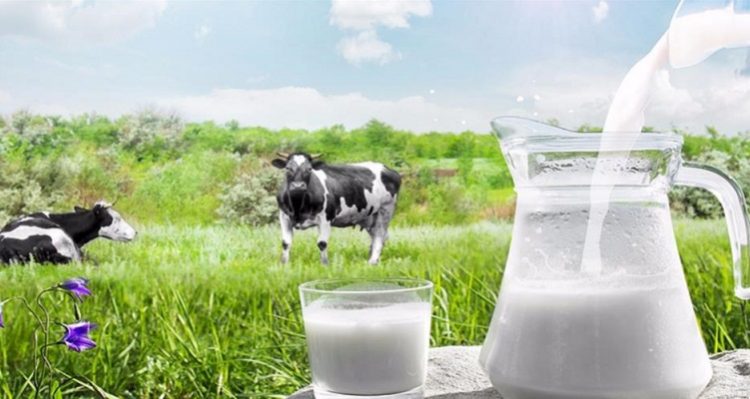 Çiğ süt fiyatları belirlendi!.. Üreticinin beklentisi yerine getirildi mi ?