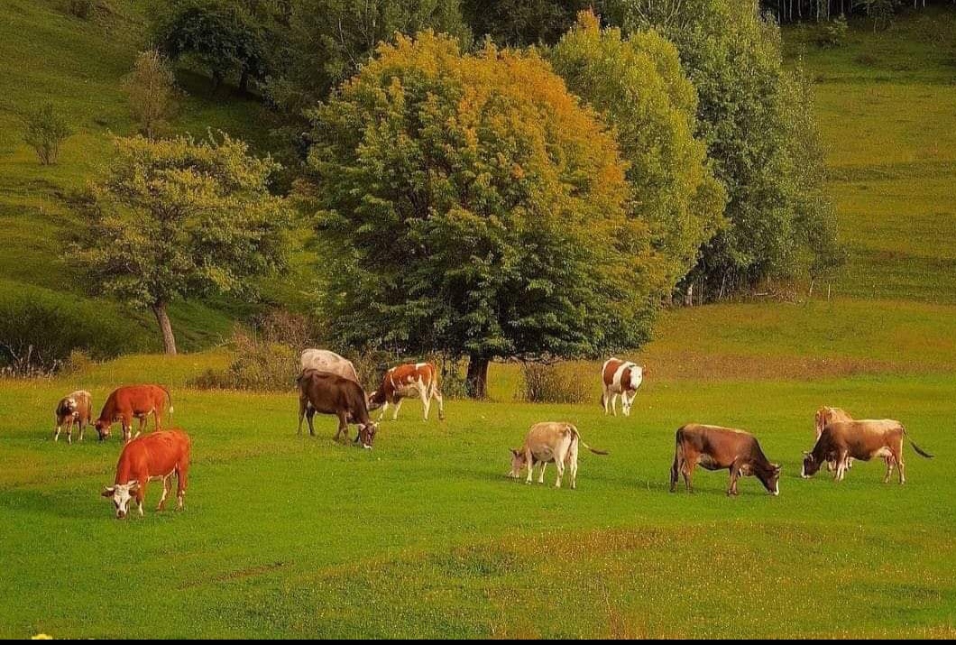 Döngüsüz tarım lezzetsiz ürün