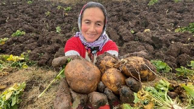 Hazine arazileri tarıma kazandırılıyor