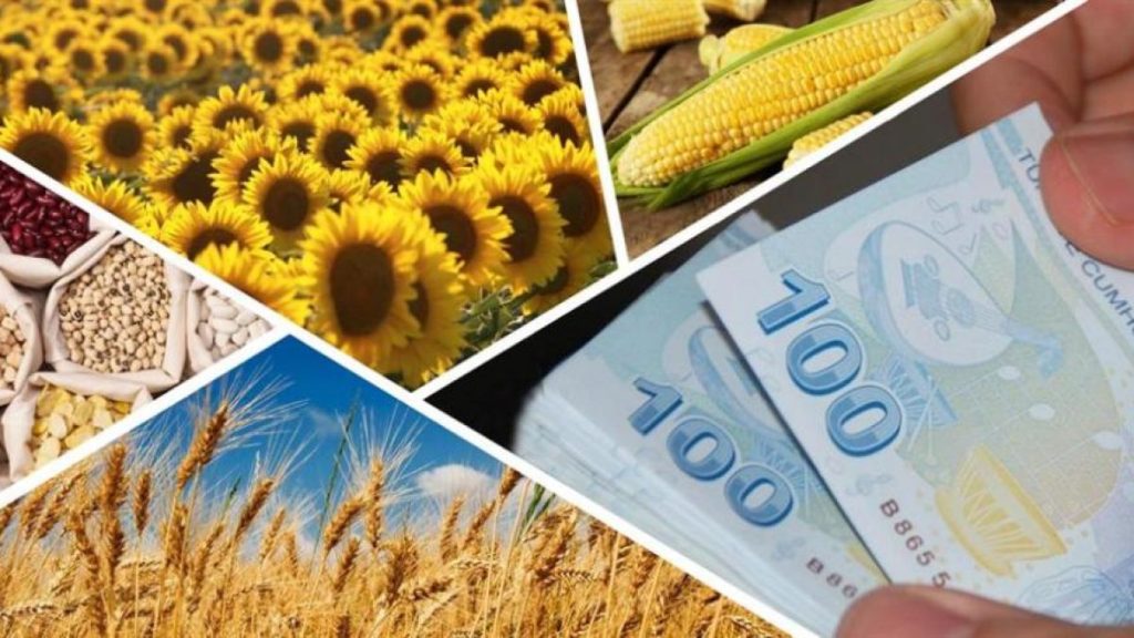 İŞTE TARIMA EK DESTEĞİN AYRINTILARI