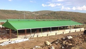 Modern Ahır Yapımına % 50 Devlet Desteği
