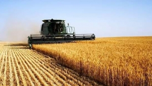 Rusya-Ukrayna Savaşı nedeniyle küresel çapta gıda sıkıntısı belirdi