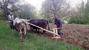 Tarımda iki kritik karar