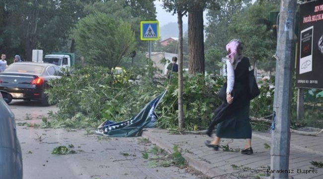 Doğu Karadeniz’de devam eden sağanak yağışların sel, su baskını, ulaşımda aksamalar gibi olumsuzluklara karşı tedbirli olmaları ...