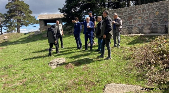 DUMAN BABA TEPESİNE DİKİLEN FİDANLAR, MESUDİYE KAMUOYUNDA TEPKİLERE SEBEP OLDU.!