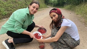 Altın kadar değerli: Fatsa'daki dağ çileğinin kilosu 200 lira