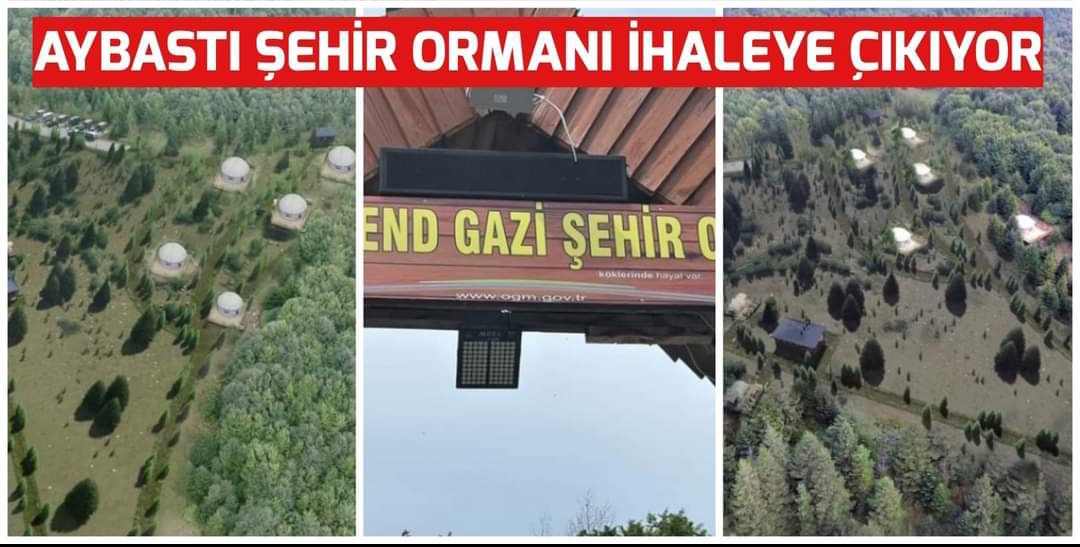 AYBASTI ŞEHİR ORMANI İHALEYE ÇIKIYOR
