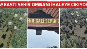 AYBASTI ŞEHİR ORMANI İHALEYE ÇIKIYOR 