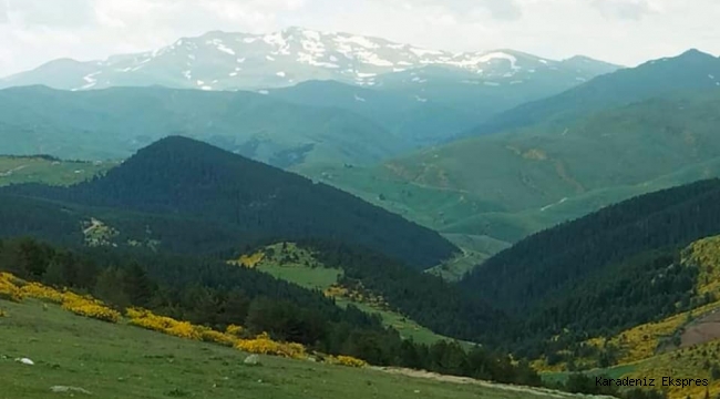 Bulutların üstünden dünyaya bakmak Karagöl Yaylası / Giresun