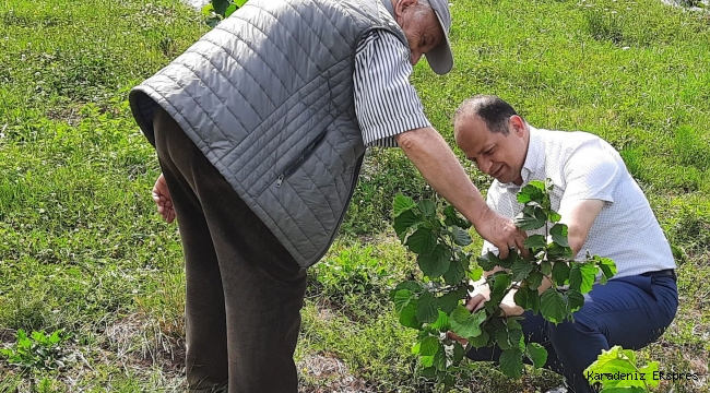 FATSA İLÇE TARIM MÜDÜRÜ VEDAT AYDOĞAN ,