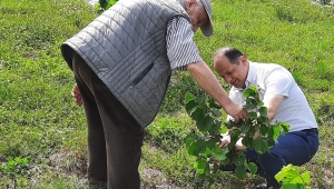 FATSA İLÇE TARIM MÜDÜRÜ VEDAT AYDOĞAN , 