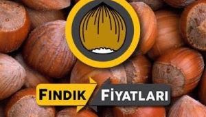 FINDIK 4 DOLAR OLACAK! 