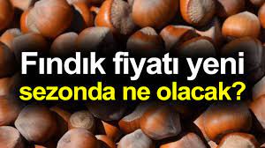 Fındık fiyatları ne kadar olacak? 