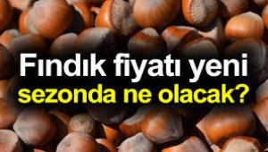 Fındık fiyatları ne kadar olacak? 