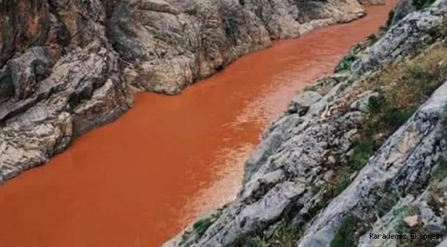 İliç’te siyanür taşıyan borunun patlaması sonrası meydana gelen çevre faciası tüm bölgeyi etkiliyor