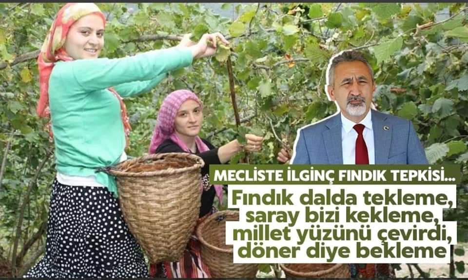 Mecliste 'Fındık araştırılsın' önergesi reddedildi!