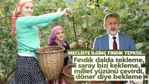 Mecliste 'Fındık araştırılsın' önergesi reddedildi!