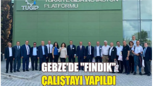 Gebze’de Fındık Çalıştayı Yapıldı