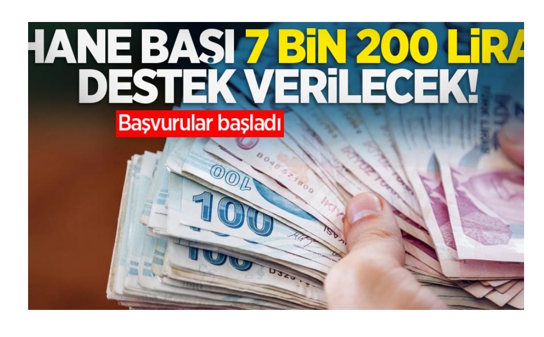 Hane başı 7 bin 200 lira destek verilecek! Başvurular başladı