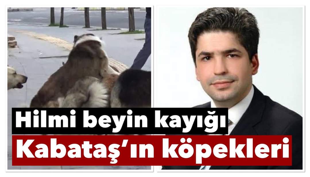 HİLMİ BEYİN KAYIĞI KABATAŞ 'IN KÖPEKLERİ