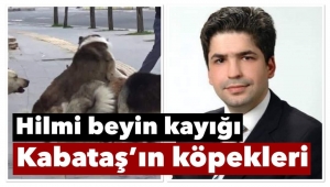 HİLMİ BEYİN KAYIĞI KABATAŞ 'IN KÖPEKLERİ 