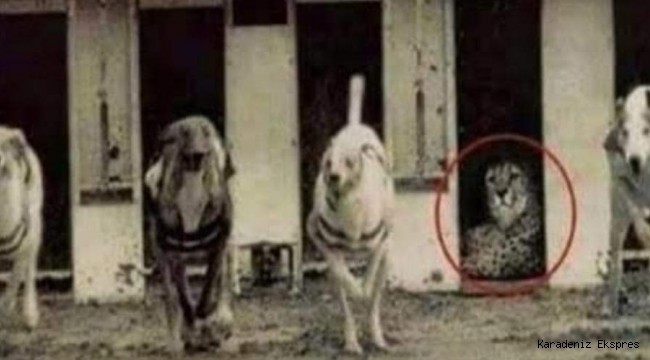 Sevgili Antalyalılar ve Antalyasporlular...