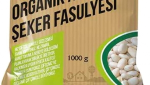 Akkuş şeker fasulyesi için hasat başladı