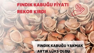 Fındık kabuğunun fiyatı cep yakıyor! 